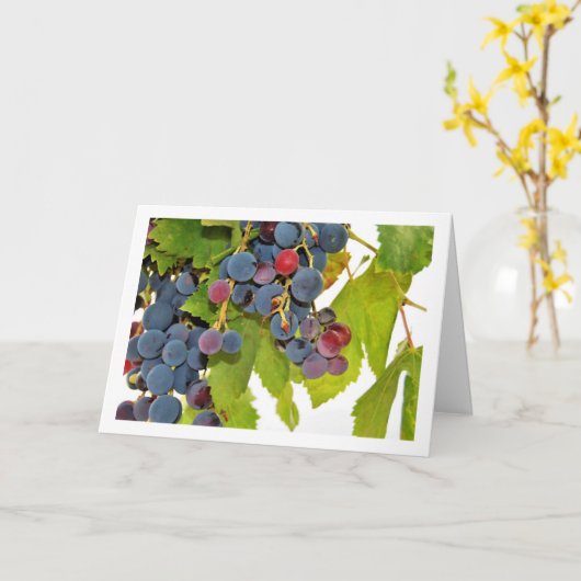 Close-up van Red Grape Vine Kaart (Gele Bloem)