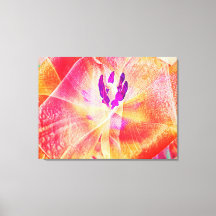 Close-up van Red Tulip Abstract