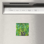 Close-up van rijpende druiven magneet (Insitu (Vaatwasser))