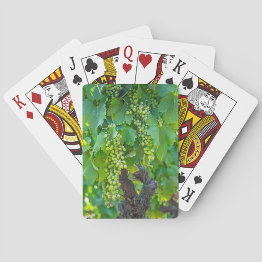 Close-up van rijpende druiven pokerkaarten (Achterkant)