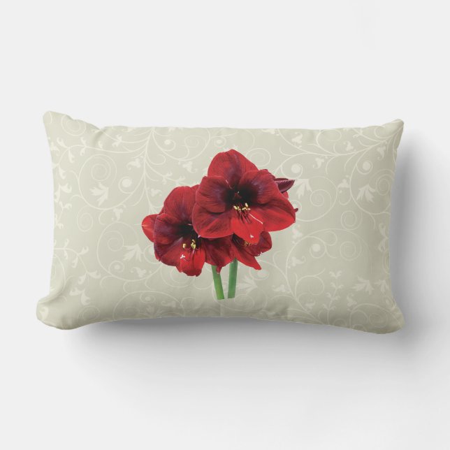 Close-up van rode amaryllis kussen (Voorkant)