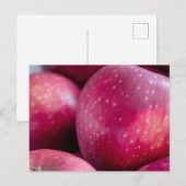 Close-up van rode appels briefkaart (Voorkant / Achterkant)