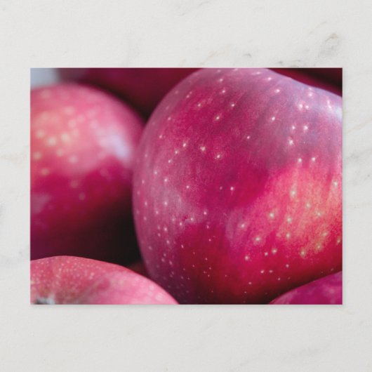 Close-up van rode appels briefkaart (Voorkant)