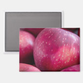Close-up van rode appels magneet (Voorkant / Achterkant)