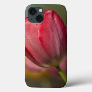 Close-up van rode en gele tulpen in de tuin Case-Mate iPhone case