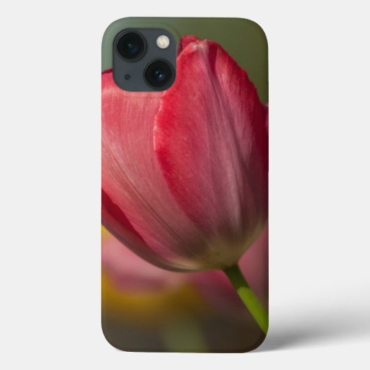 Close-up van rode en gele tulpen in de tuin Case-Mate iPhone case (Achterkant)