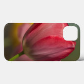 Close-up van rode en gele tulpen in de tuin Case-Mate iPhone case (Achterkant (horizontaal))