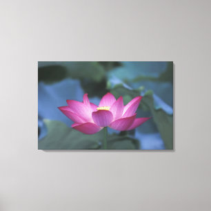 Close-up van rode lotusbloem en groene bladeren, canvas afdruk