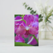 Close-up van roze orchideeën briefkaart (Staand voorkant)