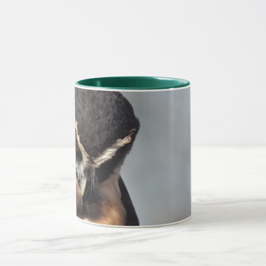 Close-up van Spectacled Owl kijkt boos naar benede Mok (Midden)