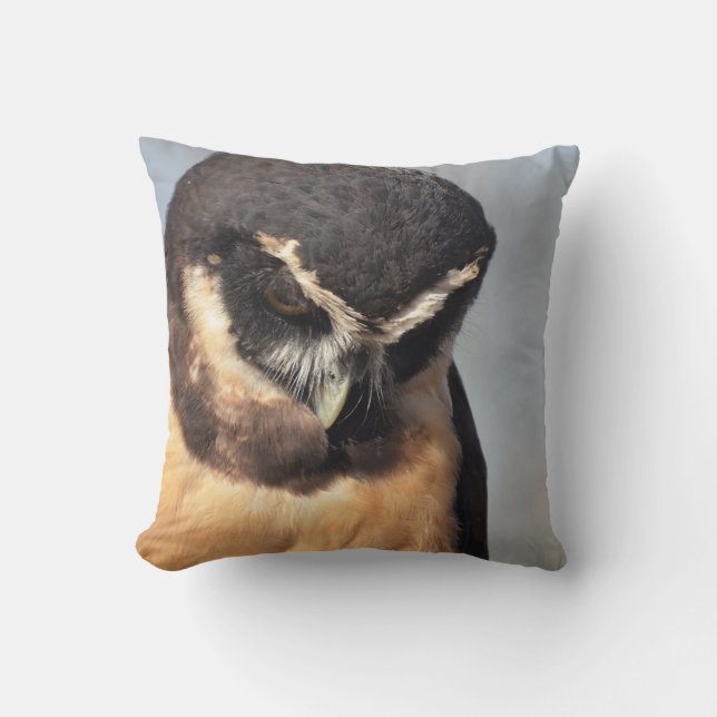 Close-up van Spectacled Owl op zoek naar beneden b Kussen (Voorkant)