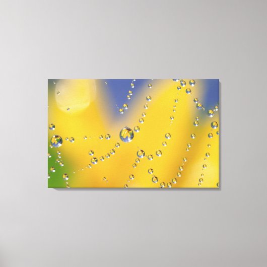 Close-up van spinnenweb met dauwdruppels canvas afdruk (Voorkant)