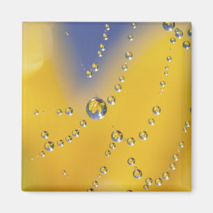 Close-up van spinnenweb met dauwdruppels magneet