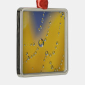 Close-up van spinnenweb met dauwdruppels metalen ornament (Rechts)