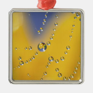 Close-up van spinnenweb met dauwdruppels metalen ornament