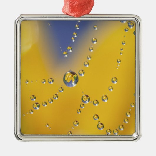 Close-up van spinnenweb met dauwdruppels metalen ornament (Voorkant)