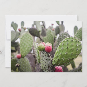 Close-up van stekelige perencactus bedankkaart