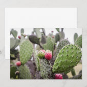 Close-up van stekelige perencactus bedankkaart (Voorkant / Achterkant)