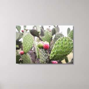 Close-up van stekelige perencactus canvas afdruk
