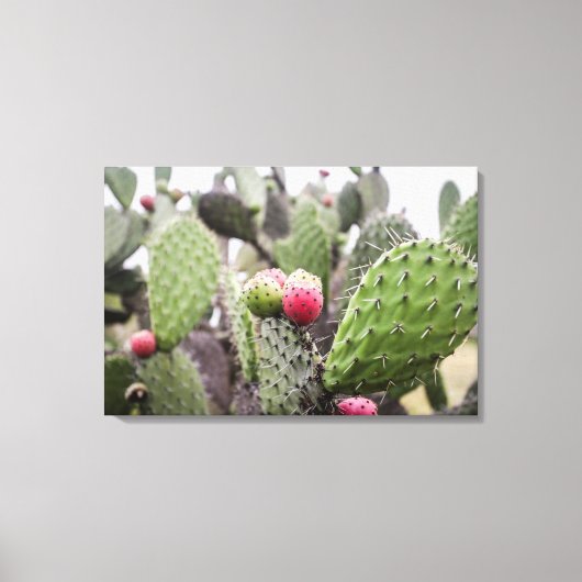 Close-up van stekelige perencactus canvas afdruk (Voorkant)