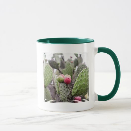 Close-up van stekelige perencactus mok (Rechts)