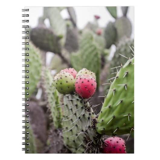 Close-up van stekelige perencactus notitieboek (Voorkant)