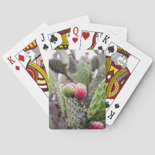 Close-up van stekelige perencactus pokerkaarten