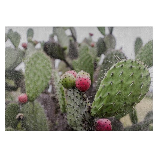 Close-up van stekelige perencactus snijplank (Voorkant)