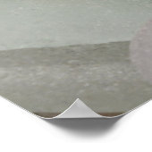 Close-up van strandglas, Alaska Poster (Hoek)