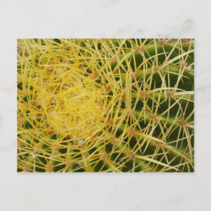 Close-up van toncactus Abstracte natuurfotografie Briefkaart