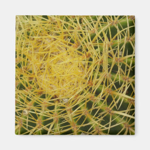 Close-up van toncactus Abstracte natuurfotografie Magneet
