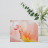 Close-up van tulp 3 briefkaart (Staand voorkant)