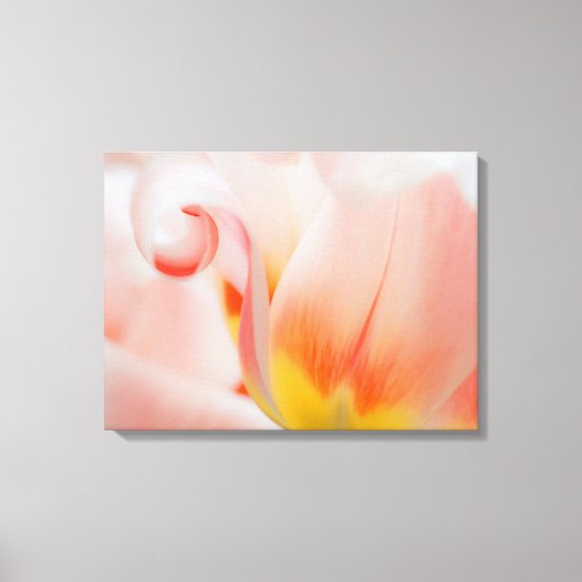 Close-up van tulp 3 canvas afdruk (Voorkant)