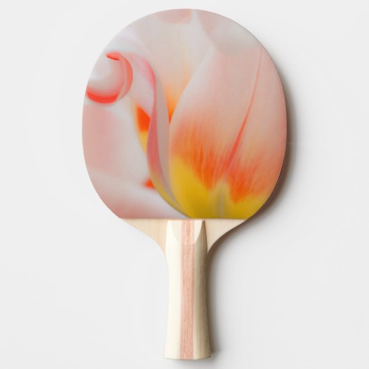 Close-up van tulp 3 tafeltennisbatje (Voorkant)