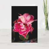 Close-up van tulpen, roze en wit, notitiekaarten (Voorkant)