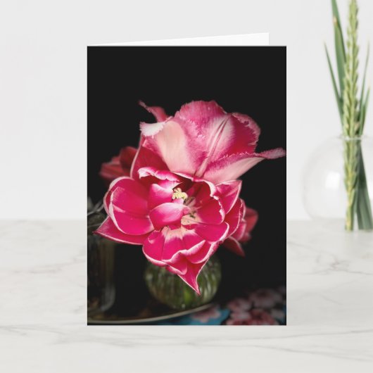 Close-up van tulpen, roze en wit, notitiekaarten (Voorkant)