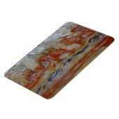 Close-up van versteend hout magneet (Linkerzijde)