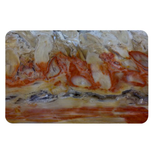 Close-up van versteend hout magneet (Horizontaal)