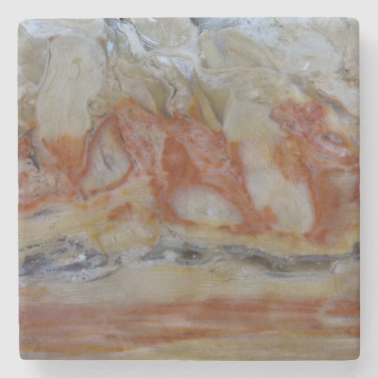 Close-up van versteend hout stenen onderzetter (Voorkant)