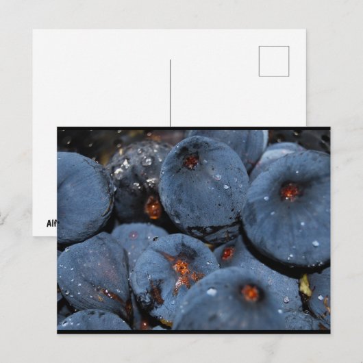 Close-up van vijgenfruit briefkaart (Voorkant / Achterkant)