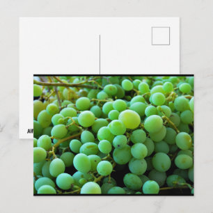 Close-up van witte druiven briefkaart