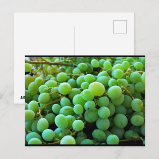 Close-up van witte druiven briefkaart