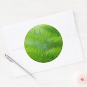 Close-up van zwaardvaren ronde sticker (Envelop)