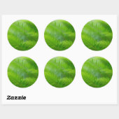 Close-up van zwaardvaren ronde sticker (Vel)