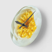 Close-up Water Lilly Ronde Klok (Hoek)