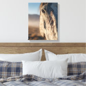 Close-Up White Horse Sunrise Portrait Canvas Afdruk (Insitu (Slaapkamer))
