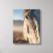 Close-Up White Horse Sunrise Portrait Canvas Afdruk (Voorkant)