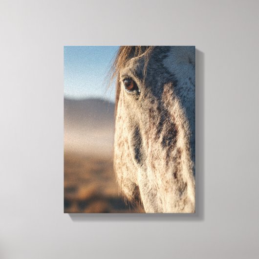 Close-Up White Horse Sunrise Portrait Canvas Afdruk (Voorkant)