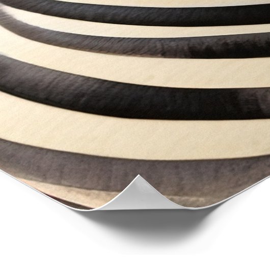 Close Up Zebra Pair Bold en opvallend wild Poster (Hoek)