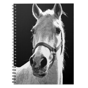 Close-up zwart-wit paard 's nachts notitieboek